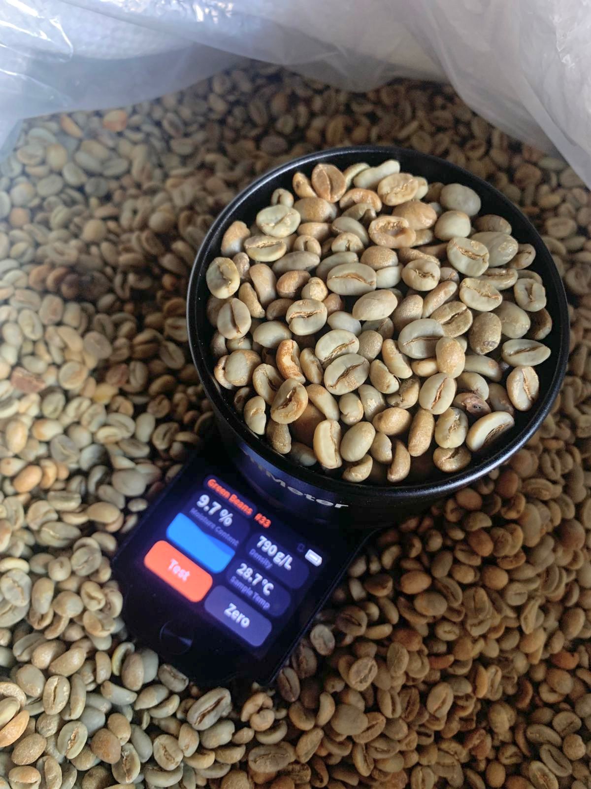 zo-th-1